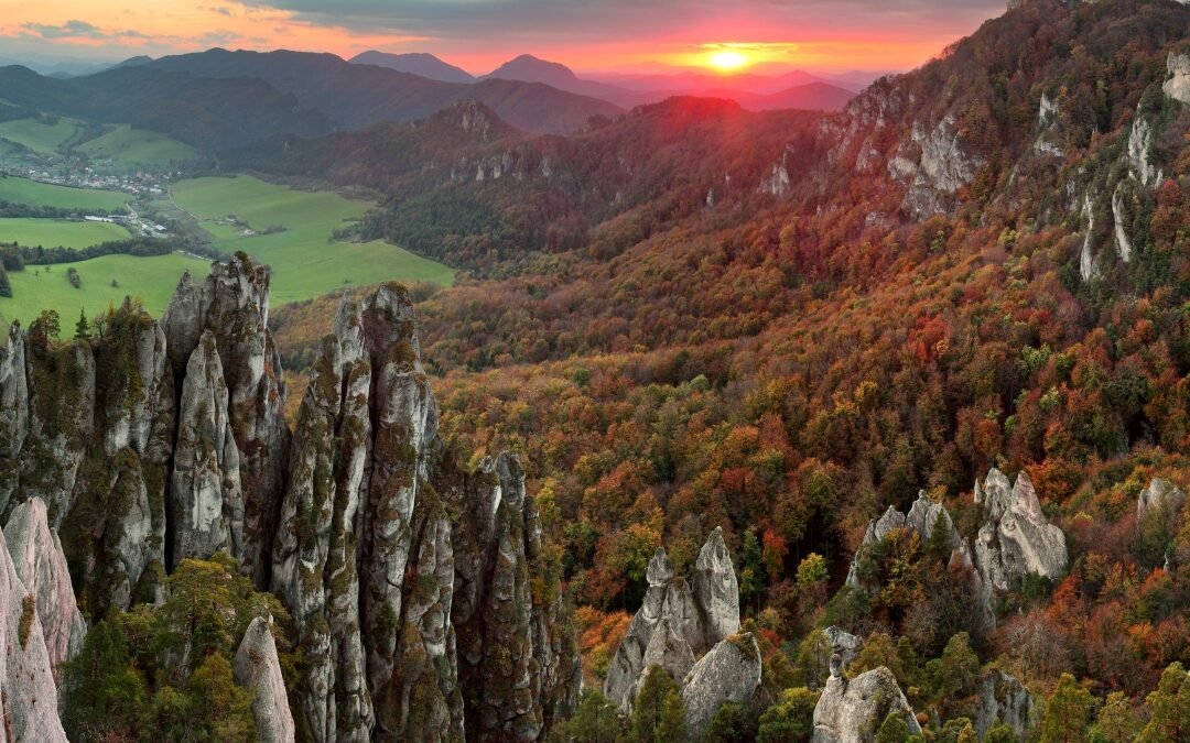 Learn to Trust the Timing of Your Life