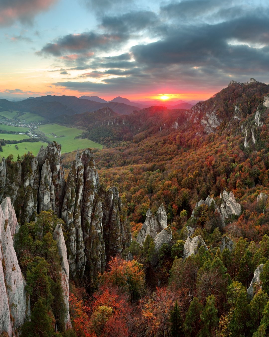Learn to Trust the Timing of Your Life