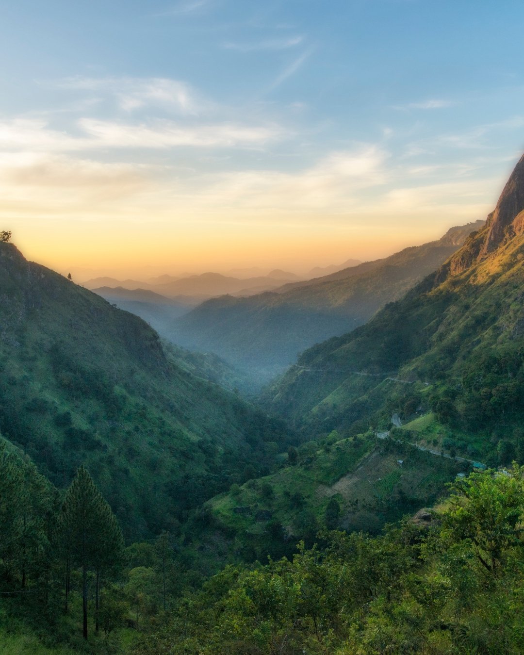 Conscious Presence in the Unknown